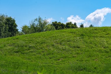 Güneşli bir yaz gününde güzel doğal bitki örtüsü tepe manzarası