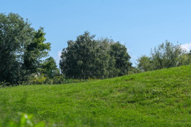 Güneşli bir yaz gününde güzel doğal bitki örtüsü tepe manzarası