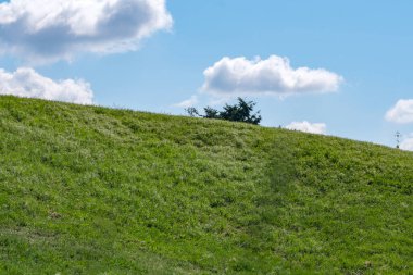 Güneşli bir yaz gününde güzel doğal bitki örtüsü tepe manzarası