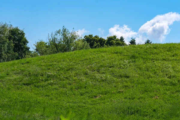 Güneşli bir yaz gününde güzel doğal bitki örtüsü tepe manzarası