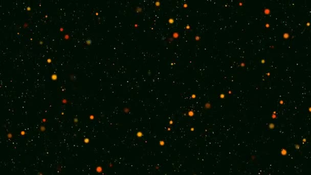 Video Clip Particles Slowly Flying Huge Space Black Background — Stock Video