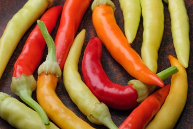 Indoor variety multicolored hot bitter pepper on a brown clay plate close-up macro photography