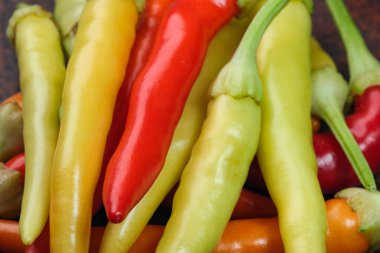 Indoor variety multicolored hot bitter pepper on a brown clay plate close-up macro photography