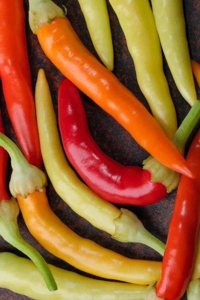 Indoor variety multicolored hot bitter pepper on a brown clay plate close-up macro photography