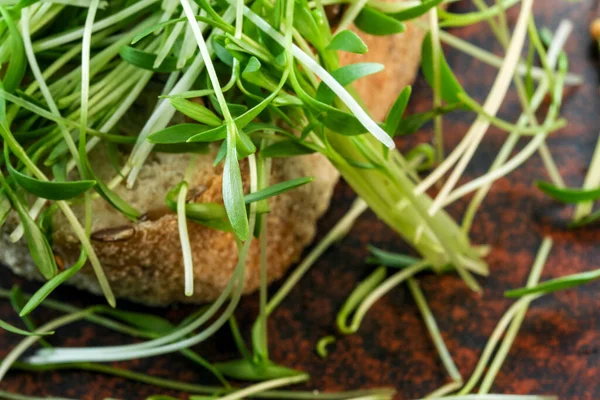 Cilantro Ростки Микро Зелени Укрепленные Вегетарианские Продукты Питания Коричневой Керамической — стоковое фото