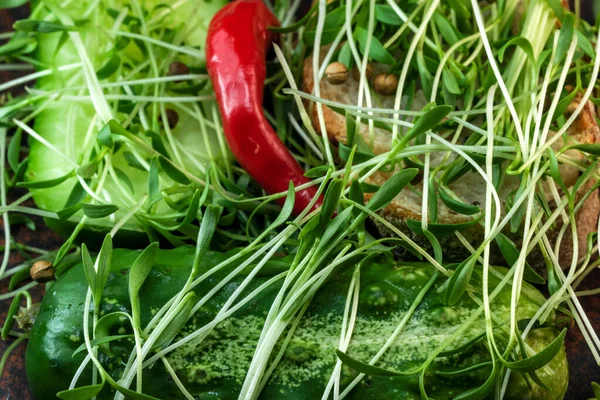 Cilantro Brotos Micro Verdes Alimentos Vegetarianos Fortificados Placa Cerâmica Marrom — Fotografia de Stock