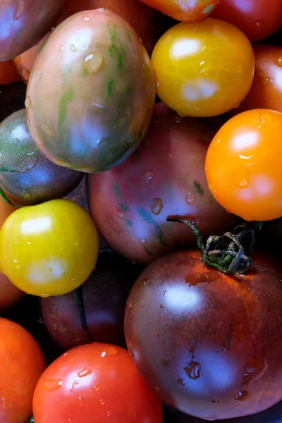 Tomates Pequenos Maduros Multi Coloridos Variedades Diferentes Encontram Uma Macrofotografia — Fotografia de Stock