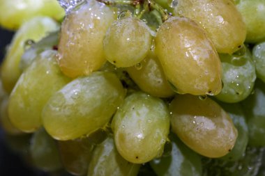 Beyaz çekirdeksiz üzümler bir demet temiz suyun altında yakın çekim makro fotoğrafçılık