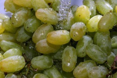 Beyaz çekirdeksiz üzümler bir demet temiz suyun altında yakın çekim makro fotoğrafçılık