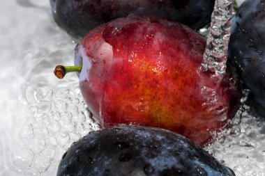 Olgun tatlı erikler temiz suyun altında yıkanır. Makro fotoğrafçılığı kapat.