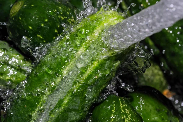 Små Gröna Gurkor Tvättas Ström Rent Vatten Närbild Makro Fotografi — Stockfoto