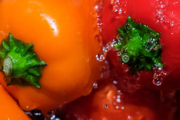 Pimentão Sino Multicolorido Tomates Maduros Vermelhos São Lavados Água Limpa — Fotografia de Stock