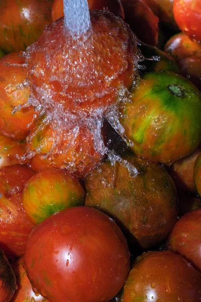 Los Tomates Multicolores Lavan Una Corriente Agua Limpia Primer Plano — Foto de Stock