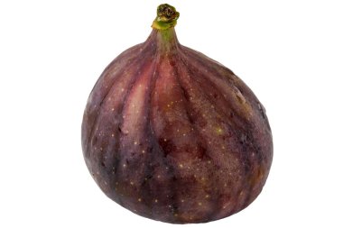 Beyaz arkaplanda yakın plan incir meyveli makro fotoğraf izole edildi