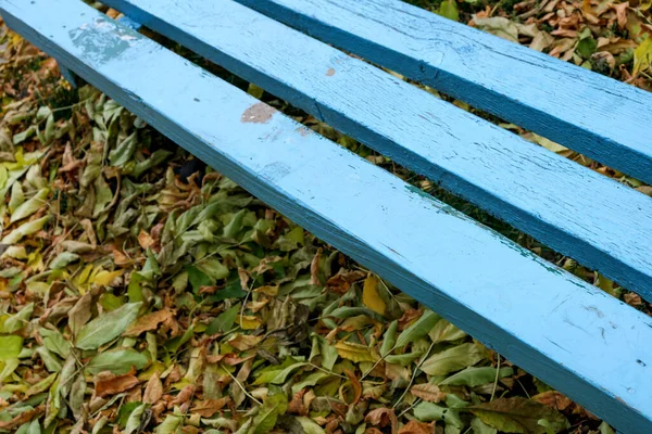 Banco Madeira Azul Simples Chão Coberto Com Folhas Outono Amarelas — Fotografia de Stock