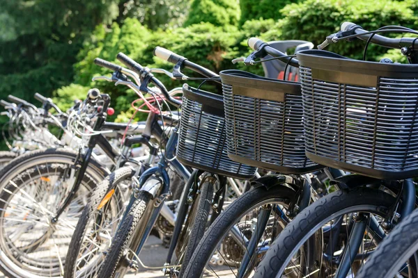 Bicicletas estão estacionadas — Fotografia de Stock