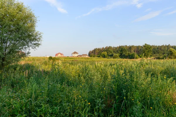 Rural summer landscape — Stock Photo, Image