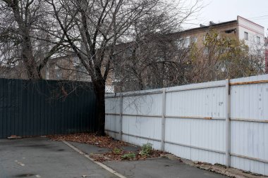 Çorak ağaçlar ve gri gökyüzü Kyiv 'in kasım ayındaki kasvetli havasını yansıtıyor..