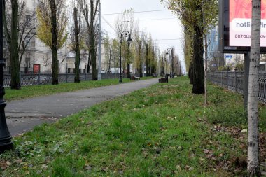 Gri gökyüzünün altında çıplak ağaçlar ve yumuşak otlarla sakin bir şehir yolu. 24 Kasım 2025, Kyiv, Ukrayna, Shevchenko Bulvarı