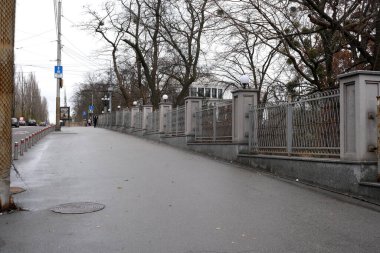 Uzun ağaçların kaldırımda sallandığı sakin bir sokakta yağmur çiseliyor. Kyiv, Ukrayna, 26 Kasım 2025.