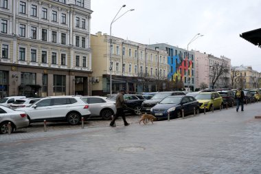 Bir adam köpeğini park etmiş arabaları ve renkli binaları olan kalabalık bir caddede gezdirir. Kyiv, Ukrayna, 26 Kasım 2025.