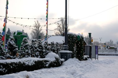 Kar, rengarenk ışıklar gibi her yeri kaplıyor. Sakin bir kış ortamında ağaçları süslüyor. Kyiv, Ukrayna, Ukrayna Expocenter 'ı. 14 Ocak 2026.