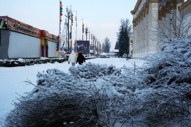 Buzlu ağaçlar ve renkli afişlerle çevrili karlı bir parkta iki kişi yürüyor..