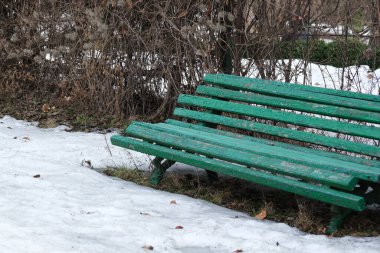 Canlı yeşil bir bank, yapraksız dallarla çevrili solmuş karın yanında oturur..