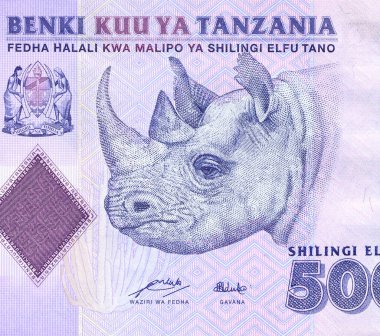 Rhino head close up on Tanzania banknote.
