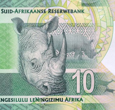 Gergedan başı Güney Afrika banknotuna yaklaş..