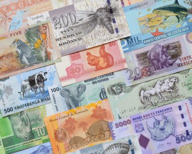 Hayvanlar üzerinde para.