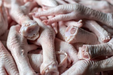 taze çiğ tavuk bacağı