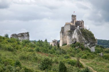 Mirow Ortaçağ şatosu kalıntıları, Silezya, Polonya.