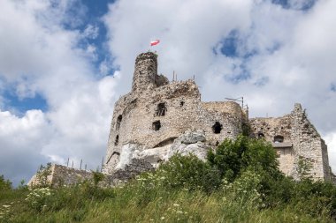 Mirow Ortaçağ şatosu kalıntıları, Silezya, Polonya.