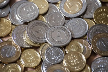 Polonya parası, madeni paralar. Polonya zlotisi