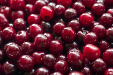 taze vişne arkaplanı