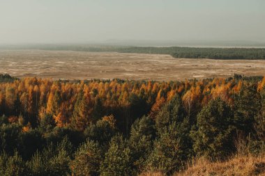 Polonya 'nın Silezya bölgesindeki en büyük kum çölü (pustynia bledowska)