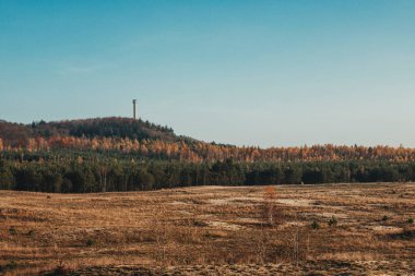 Polonya 'nın Silezya bölgesindeki en büyük kum çölü (pustynia bledowska)