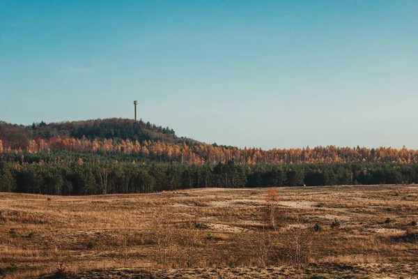Polonya 'nın Silezya bölgesindeki en büyük kum çölü (pustynia bledowska)