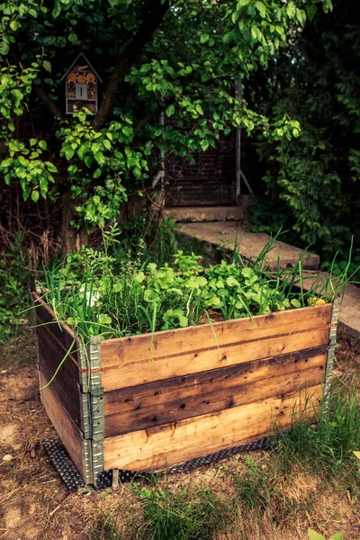 Cuello Plataforma Levantado Camas Para Plantación Verduras Jardinería Permacultural — Foto de Stock