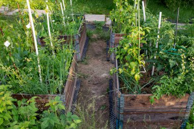 palet tasması parmakültür bahçesinde yükseltilmiş yataklar