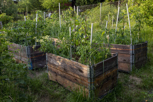 поддонный воротник самодельные раскладушки в пармакультурном саду