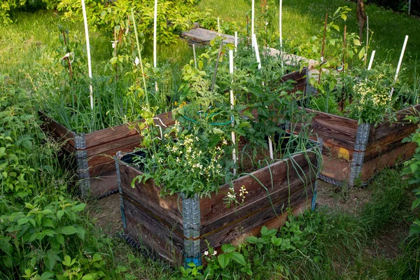 pallet collar self made raised beds in parmacultural garden