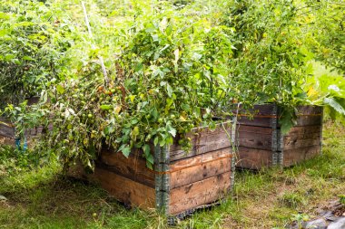 palet tasması mevsimin ortasında kaldırıldı.