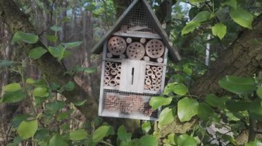 Ağacın Ağacındaki Tahta Böcek Oteli Ekoloji ve Biyolojik Çeşitlilik Konsepti