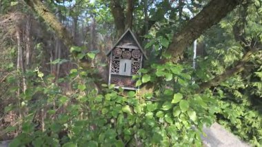 Ağacın Ağacındaki Tahta Böcek Oteli Ekoloji ve Biyolojik Çeşitlilik Konsepti