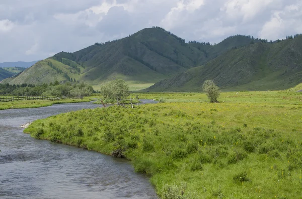 Beau paysage de la montagne et de la rivière en été — Photo