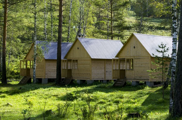 Maisons pour les touristes d'un arbre dans le bois en été — Photo