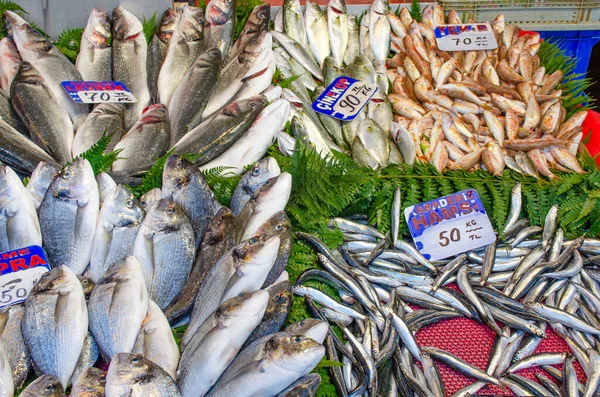 Piyasada küçük ve büyük taze deniz balıkları