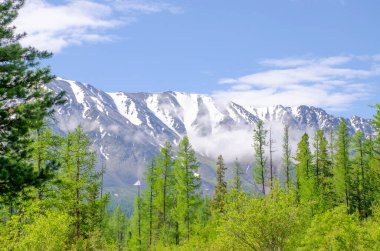 Tayga Dağı Altai Sibirya 'nın tepesinde karlı bir dağ.
